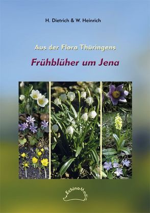 Frühblüher um Jena von Dietrich,  Helga, Heinrich,  Wolfgang