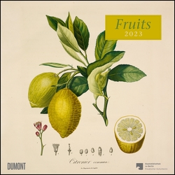 Fruits 2023 ‒ Broschürenkalender ‒ mit historischen Abbildungen alter Obstsorten von Pierre Antoine Poiteau ‒ Format 30 x 30 cm von Poiteau,  Pierre Antoine