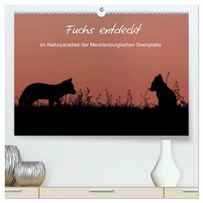 Fuchs entdeckt – im Naturparadies der Mecklenburgischen Seenplatte (hochwertiger Premium Wandkalender 2024 DIN A2 quer), Kunstdruck in Hochglanz von Pretzel - FotoPretzel,  André