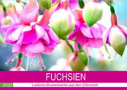 Fuchsien. Liebliche Blumenkelche aus dem Elfenreich (Wandkalender 2022 DIN A2 quer) von Hurley,  Rose