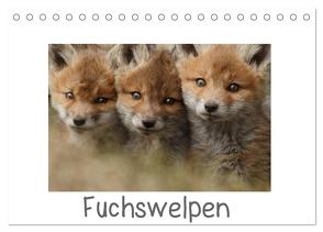 Fuchswelpen (Tischkalender 2024 DIN A5 quer), CALVENDO Monatskalender von Marklein,  Gabi