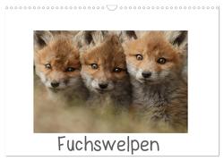 Fuchswelpen (Wandkalender 2024 DIN A3 quer), CALVENDO Monatskalender von Marklein,  Gabi
