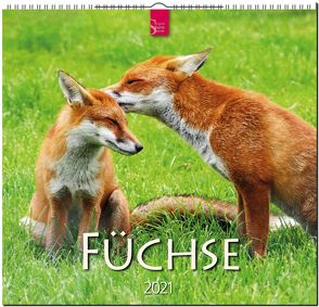 Füchse