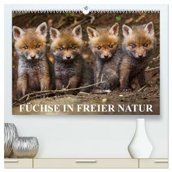 Füchse in freier Natur (hochwertiger Premium Wandkalender 2024 DIN A2 quer), Kunstdruck in Hochglanz von Ulrich Hopp,  Dr.