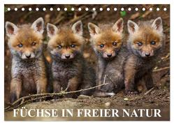 Füchse in freier Natur (Tischkalender 2024 DIN A5 quer), CALVENDO Monatskalender von Ulrich Hopp,  Dr.