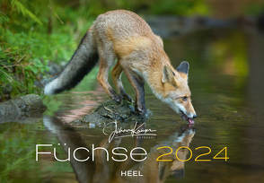 Füchse Kalender 2024