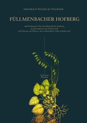 Füllmenbacher Hofberg von Friedrich Wilhelm,  Teschner