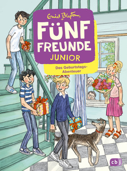Fünf Freunde JUNIOR – Das Geburtstags-Abenteuer von Blyton,  Enid, Mihr,  Ute, Raidt,  Gerda