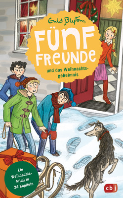 Fünf Freunde und das Weihnachtsgeheimnis von Blyton,  Enid, Raidt,  Gerda
