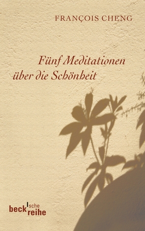 Fünf Meditationen über die Schönheit von Cheng,  Francois, Klein,  Judith