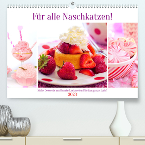 Für alle Naschkatzen! Süße Desserts und bunte Leckereien für das ganze Jahr! (Premium, hochwertiger DIN A2 Wandkalender 2023, Kunstdruck in Hochglanz) von Hurley,  Rose