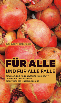 Für alle und für alle Fälle von Gurny,  Ruth, Ringger,  Beat