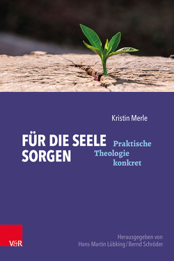 Für die Seele sorgen von Lübking,  Hans-Martin, Merle,  Kristin, Schroeder,  Bernd, Wehrmann-Kutsche,  Anne