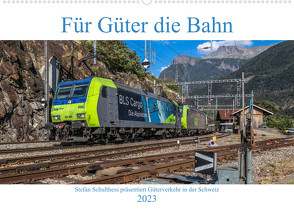 Für Güter die Bahn (Wandkalender 2023 DIN A2 quer) von Schulthess,  Stefan