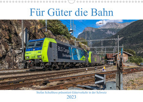 Für Güter die Bahn (Wandkalender 2023 DIN A3 quer) von Schulthess,  Stefan