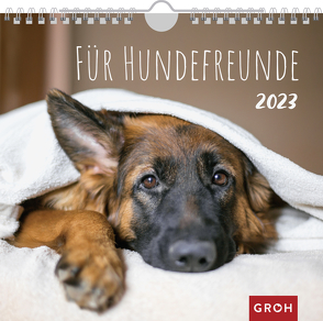 Für Hundefreunde 2023 von Groh Verlag