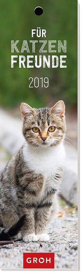 Für Katzenfreunde 2019 von Groh Redaktionsteam
