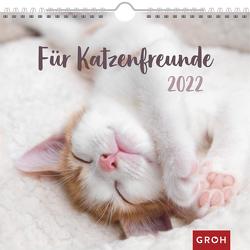 Für Katzenfreunde 2022 von Groh Verlag