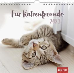 Für Katzenfreunde 2023 von Groh Verlag