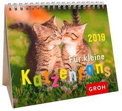 Für kleine Katzenfans 2019 von Groh Redaktionsteam