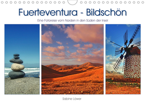 Fuerteventura – Bildschön (Wandkalender 2021 DIN A4 quer) von Löwer,  Sabine