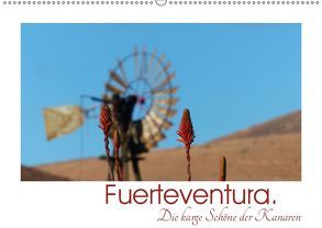 Fuerteventura. Die karge Schöne der Kanaren (Wandkalender 2019 DIN A2 quer) von M. Laube,  Lucy