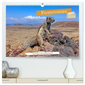 Fuerteventura – Faszination einer Wüsteninsel (hochwertiger Premium Wandkalender 2024 DIN A2 quer), Kunstdruck in Hochglanz von Balan,  Peter