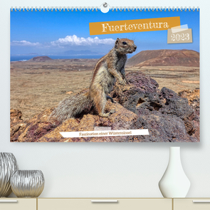 Fuerteventura – Faszination einer Wüsteninsel (Premium, hochwertiger DIN A2 Wandkalender 2023, Kunstdruck in Hochglanz) von Balan,  Peter