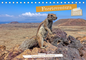 Fuerteventura – Faszination einer Wüsteninsel (Tischkalender 2023 DIN A5 quer) von Balan,  Peter