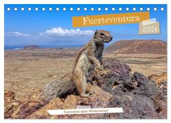 Fuerteventura – Faszination einer Wüsteninsel (Tischkalender 2024 DIN A5 quer), CALVENDO Monatskalender von Balan,  Peter