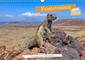 Fuerteventura – Faszination einer Wüsteninsel (Wandkalender 2023 DIN A3 quer) von Balan,  Peter