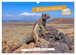 Fuerteventura – Faszination einer Wüsteninsel (Wandkalender 2024 DIN A3 quer), CALVENDO Monatskalender von Balan,  Peter