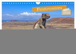 Fuerteventura – Faszination einer Wüsteninsel (Wandkalender 2024 DIN A4 quer), CALVENDO Monatskalender von Balan,  Peter