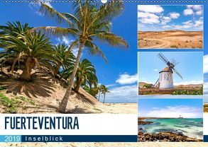 FUERTEVENTURA – Inselblick (Wandkalender 2019 DIN A2 quer) von Dreegmeyer,  Andrea