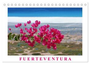 Fuerteventura (Tischkalender 2024 DIN A5 quer), CALVENDO Monatskalender von Fietzek,  Thomas