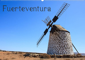 Fuerteventura (Wandkalender 2023 DIN A2 quer) von Hildenbrandt,  Denny