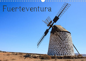 Fuerteventura (Wandkalender 2023 DIN A3 quer) von Hildenbrandt,  Denny