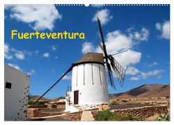 Fuerteventura (Wandkalender 2024 DIN A2 quer), CALVENDO Monatskalender von Schneider,  Peter