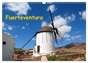 Fuerteventura (Wandkalender 2024 DIN A3 quer), CALVENDO Monatskalender von Schneider,  Peter