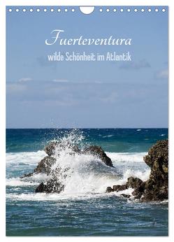 Fuerteventura, wilde Schönheit im Atlantik (Wandkalender 2024 DIN A4 hoch), CALVENDO Monatskalender von Stark Sugarsweet - Photo,  Susanne