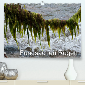 Fundsachen Rügen (Premium, hochwertiger DIN A2 Wandkalender 2023, Kunstdruck in Hochglanz) von Zinn,  Gerhard