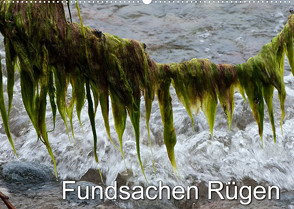 Fundsachen Rügen (Wandkalender 2023 DIN A2 quer) von Zinn,  Gerhard