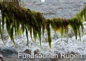Fundsachen Rügen (Wandkalender 2023 DIN A3 quer) von Zinn,  Gerhard
