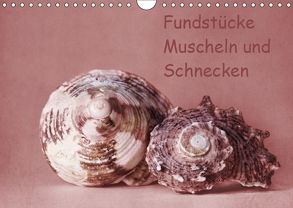 Fundstücke (Wandkalender 2019 DIN A4 quer) von Buch,  Monika