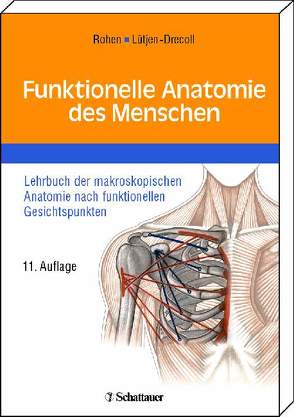 Funktionelle Anatomie des Menschen von Lütjen-Drecoll,  Elke, Rohen,  Johannes W