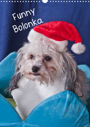 Funny Bolonka (Wandkalender 2023 DIN A3 hoch) von weh-zet