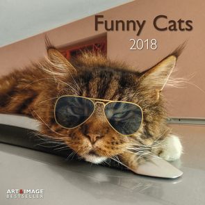 Funny Cats 2018 A&I