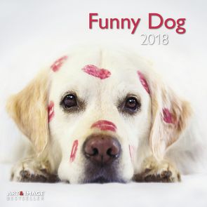 Funny Dog 2018 A&I