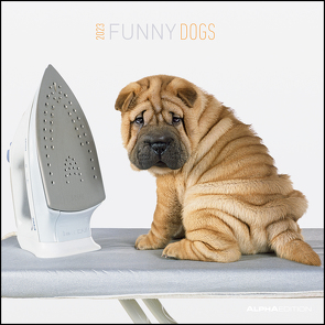 Funny Dogs 2023 – Broschürenkalender 30×30 cm (30×60 geöffnet) – Kalender mit Platz für Notizen – Hunde – Bildkalender – Wandkalender – Hundekalender