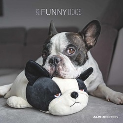 Funny Dogs 2024 – Broschürenkalender 30×30 cm (30×60 geöffnet) – Kalender mit Platz für Notizen – Hunde – Bildkalender – Wandkalender – Hundekalender